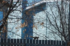 DSC_0647.jpg