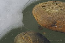 Rock in Ice.jpg