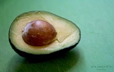 Avacado-s.jpg