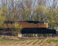 DSC_3494.jpg