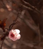 spring-2.jpg