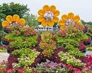 3-flower-1.jpg