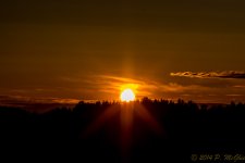 DSC_8776.jpg