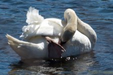 DSC_8795.jpg