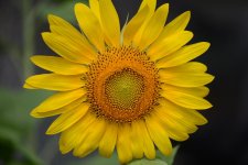 DSC_0913.jpg