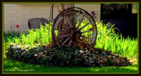 Wagon Wheel.jpg