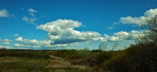 DSC_7313 (1000x462).jpg