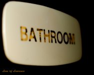 Bathroom LOL.jpg