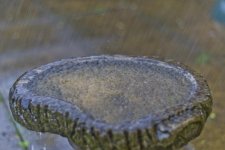 DSC_6103.jpg