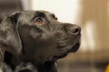 DSC_6113.jpg