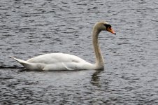 DSC_8820.jpg