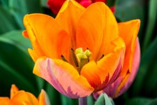DSC_8826.jpg