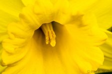DSC_8828.jpg