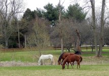 DSCN1629.jpg