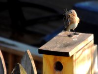 DSCN9085.jpg