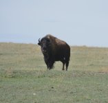 DSC_5454.JPG