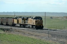 DSC_5469.JPG