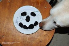 116 Berries-140426-02_01.jpg