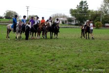 Horse Competition Winner LOL.jpg