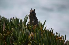 DSC_1104_1369.jpg