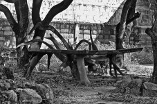resttable-1.jpg