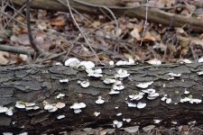 DSC_2871.jpg