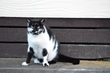 DSC_2361.jpg
