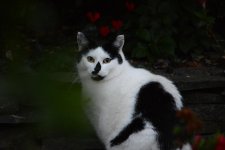 DSC_2576.jpg
