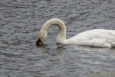DSC_8855-Edit.jpg