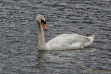 DSC_8864-Edit.jpg