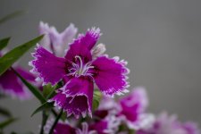_DSC3553.jpg