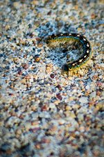 Day117-1.jpg
