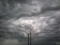 Day117-2.jpg