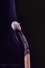 DSC_7985_webshot.jpg