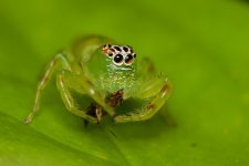 DSC_5944.jpg