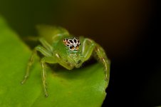 DSC_5949.jpg