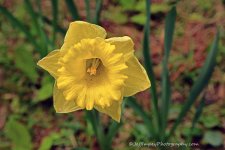 DSC_1734.jpg