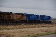 DSC_5497_01.JPG