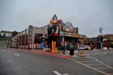DSC_5483.JPG