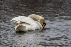 DSC_8874.jpg
