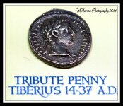 Tribute Penny Coin.jpg