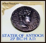 Stater of Antioch Coin.jpg
