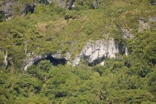 DSC_0972.jpg