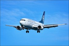 ANZ737.jpg