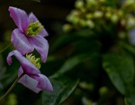 DSC_6175.jpg