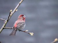 DSCN9118.jpg