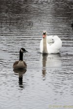 DSC_8913.jpg