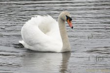 DSC_8915.jpg