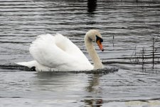 DSC_8916.jpg