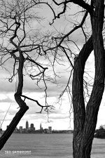 Lakewood Park 8bw.jpg